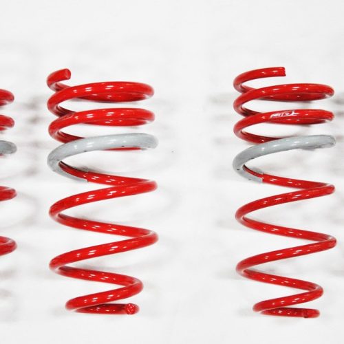 1995-1999 Eagle Talon DF210 Springs by Tanabe (TDF005)