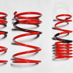 2001-2005 Honda Civic Coupe DF210 Springs by Tanabe (TDF043)