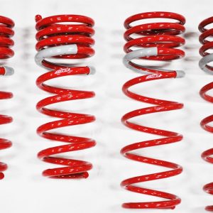 1994-2001 Acura Integra Hatchback/Sedan GF210 Springs by Tanabe (TGF002)